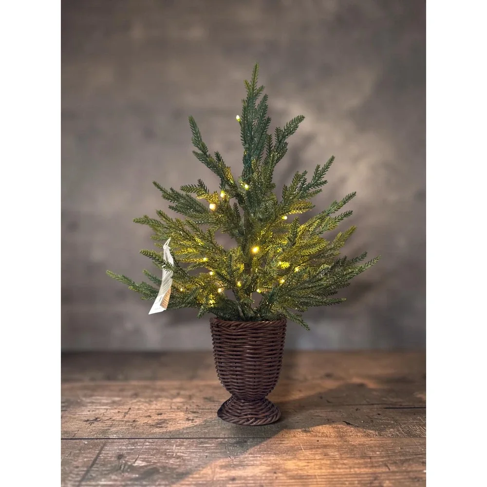 My Texas House 2' Pre-Lit Norfolk Pine Christmas Tree 30 Twinkle LEDs 2026